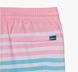 Chubbies Lined 5.5” Swim Trunks